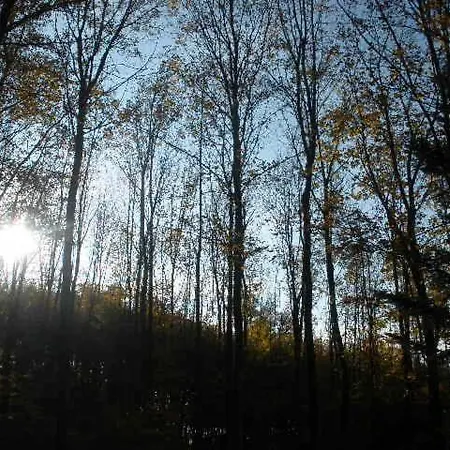 Irmgard Und Gerlinde 아파트 *