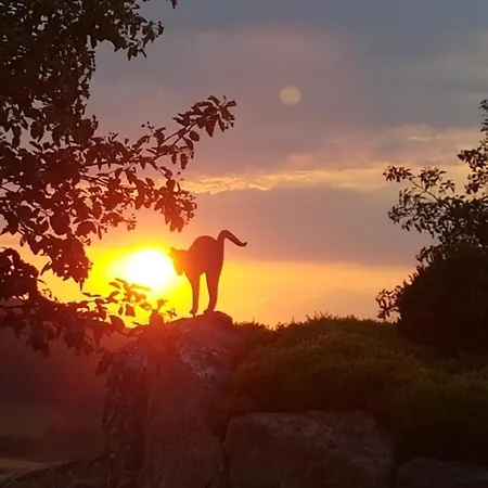 Irmgard Und Gerlinde * 왈드브룬